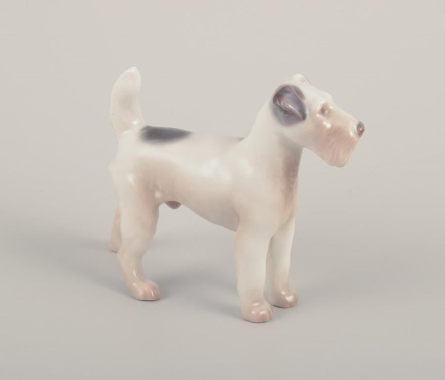 Bing & Grøndahl, figura de porcelana de un Wire Fox Terrier. 1930s en Excelente estado para la venta en Copenhagen, DK