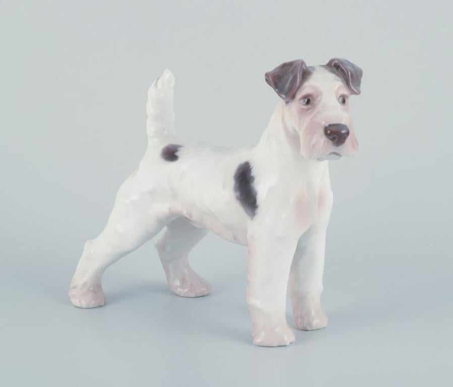 Bing & Grøndahl, figurine en porcelaine d'un Fox Terrier à poil dur.
Numéro de modèle 1998.
Années 1920/30.
Première qualité d'usine.
Parfait état.
Marqué.
Dimensions : Hauteur 15,0 cm x Longueur 13,7 cm.