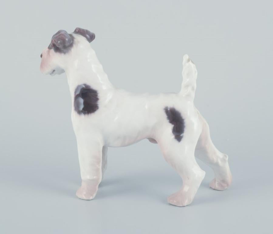 Bing & Grøndahl, Porzellanfigur eines Wire Fox Terriers.  (Dänisch) im Angebot