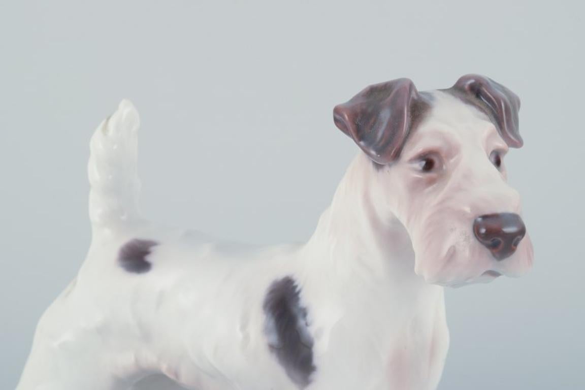Glazed Bing & Grøndahl, porcelain figurine of a Wire Fox Terrier.  For Sale