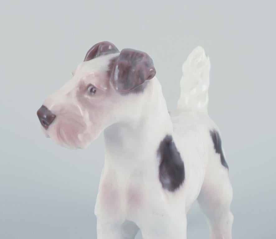 Bing & Grøndahl, porcelain figurine of a Wire Fox Terrier.  In Excellent Condition For Sale In Copenhagen, DK