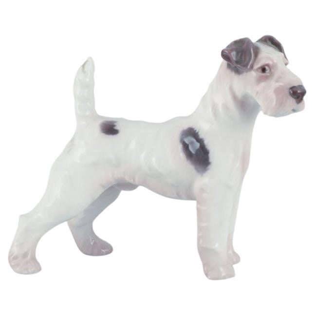 Bing & Grøndahl, figurine en porcelaine d'un Fox Terrier à poil dur.  en vente