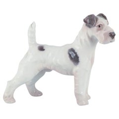 Bing & Grøndahl, porcelain figurine of a Wire Fox Terrier. 