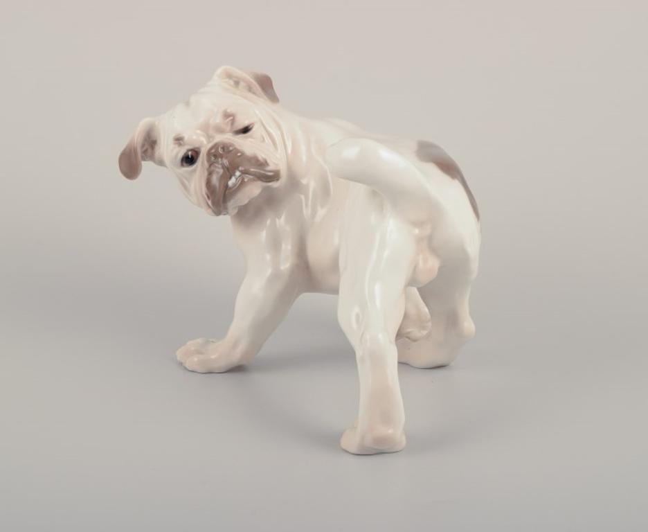 Bing & Grøndahl, porcelain figurine of an English Bulldog.
Model number 1992.
Approximately from the 1930s.
Marked.
Second factory quality.
In perfect condition.
Dimensions: L 18.0 cm x H 13.5 cm.