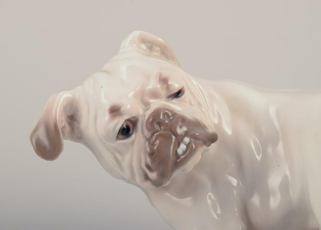 Danish Bing & Grøndahl, porcelain figurine of an English Bulldog. 1930s For Sale