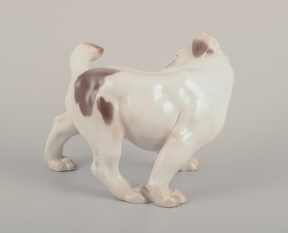 Glazed Bing & Grøndahl, porcelain figurine of an English Bulldog. 1930s For Sale