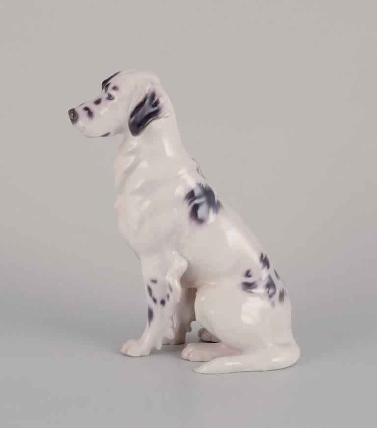 Bing & Grøndahl. Porcelain figurine of an English Setter. Rare figurine.
Model 1904.
Approximately from the 1920s.
Marked.
Second factory quality (due to a firing flaw on the back - see photo).
Perfect condition.
Dimensions: H 20.0 cm x W 15.0 cm x