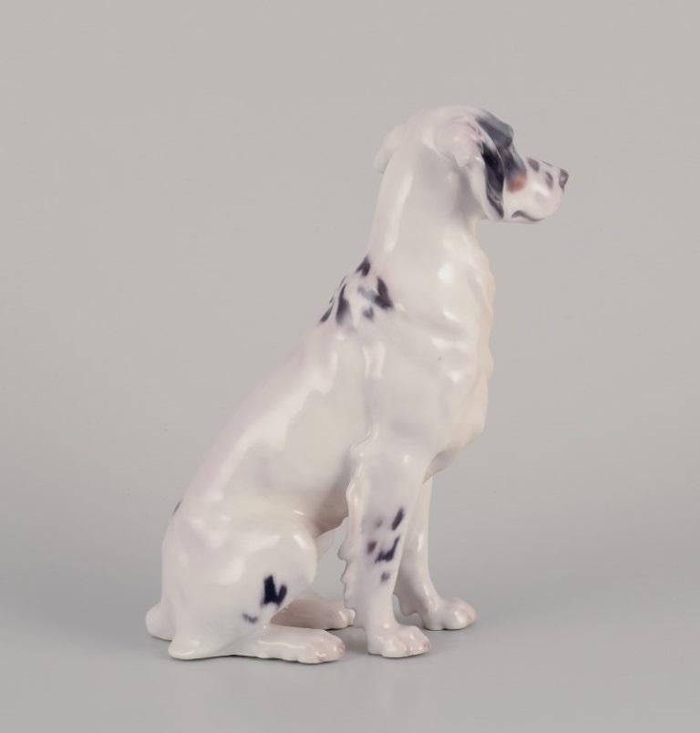 Danish Bing & Grøndahl. Porcelain figurine of an English Setter. Rare figurine. For Sale