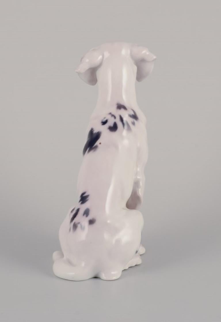 Glazed Bing & Grøndahl. Porcelain figurine of an English Setter. Rare figurine. For Sale