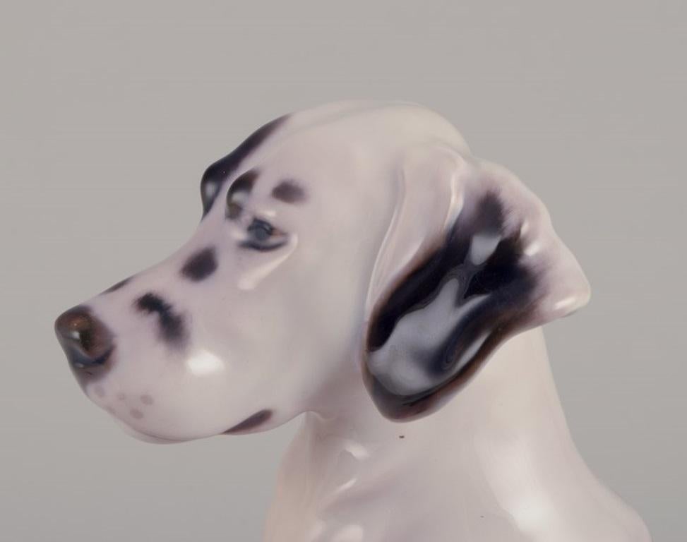 Early 20th Century Bing & Grøndahl. Porcelain figurine of an English Setter. Rare figurine. For Sale