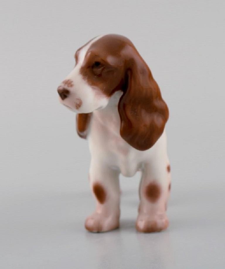 Bing & Grøndahl porcelain figurine. Standing cocker spaniel. Model number 2172. 
Mid 20th century.
Measures: 11 x 8 cm.
In excellent condition.
Stamped.
1st factory quality.