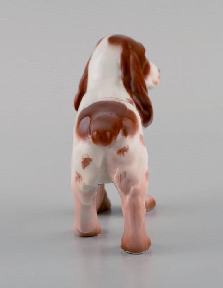 Bing & Grndahl Porzellanfigur, stehend, Cocker Spaniel, Modellnummer 2172 (Dänisch) im Angebot