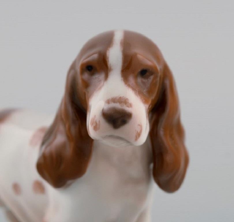 20th Century Bing & Grøndahl Porcelain Figurine, Standing Cocker Spaniel, Model Number 2172