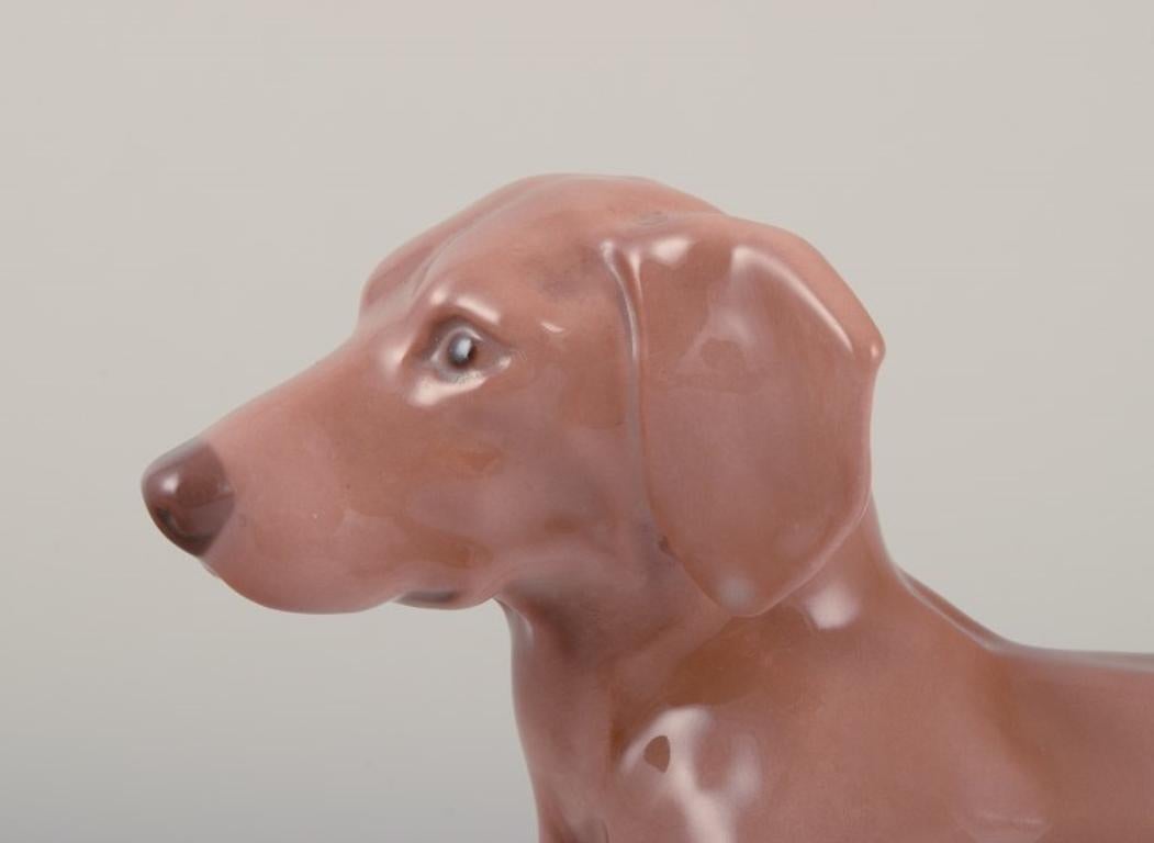 Danish Bing & Grøndahl, rare porcelain figurine of a dachshund. 1930s