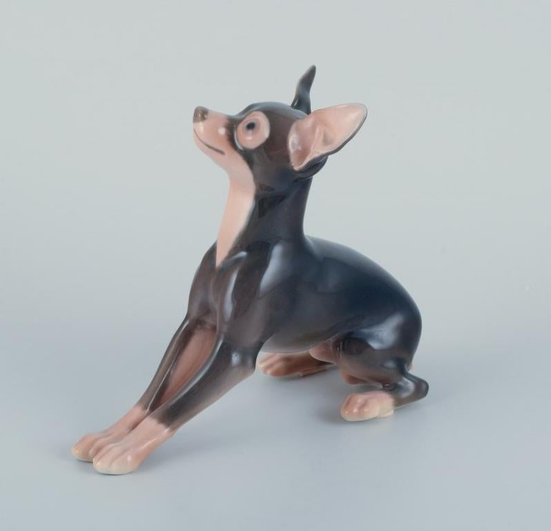 Bing & Grøndahl, rare porcelain figurine of a Doberman pinscher. 
Model number 2244.
Approximately from the 1930s.
First factory quality.
Perfect condition.
Marked.
Dimensions: Height 18.5 cm x Length 17.5 cm.
