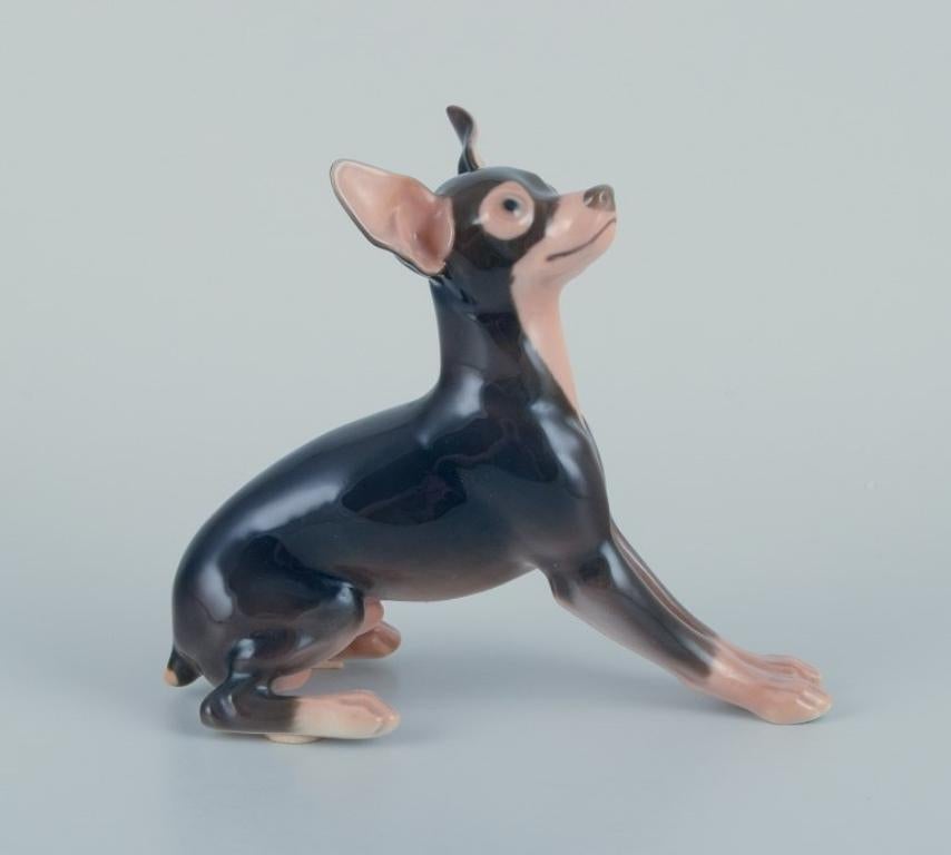 Danish Bing & Grøndahl, rare porcelain figurine of a Doberman pinscher. For Sale