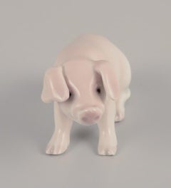 Bing & Grøndahl, rare porcelain figurine of a piglet. Approx. 1930