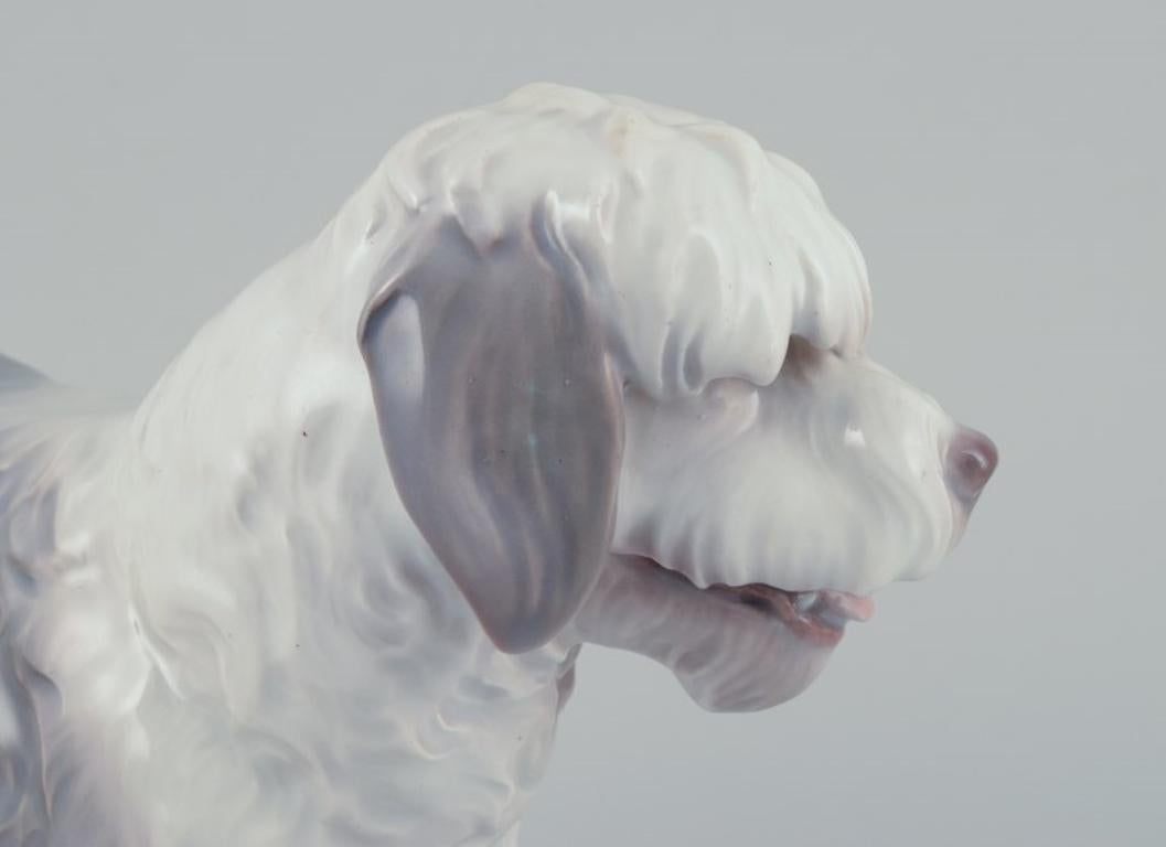Bing & Grøndahl, seltene Porzellanfigur eines englischen Schäferhundes. 1920er/30er Jahre. im Zustand „Hervorragend“ im Angebot in Copenhagen, DK