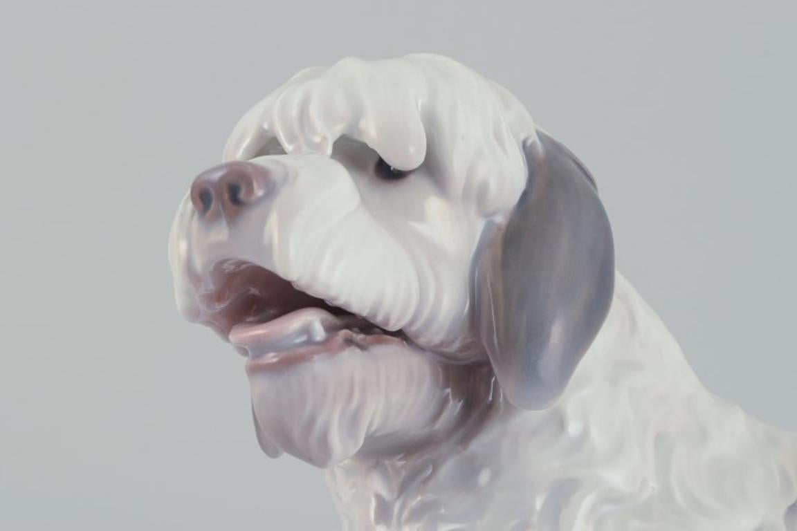 Début du 20ème siècle Bing & Grøndahl, rare figurine en porcelaine représentant un chien de berger anglais. Années 1920/30. en vente