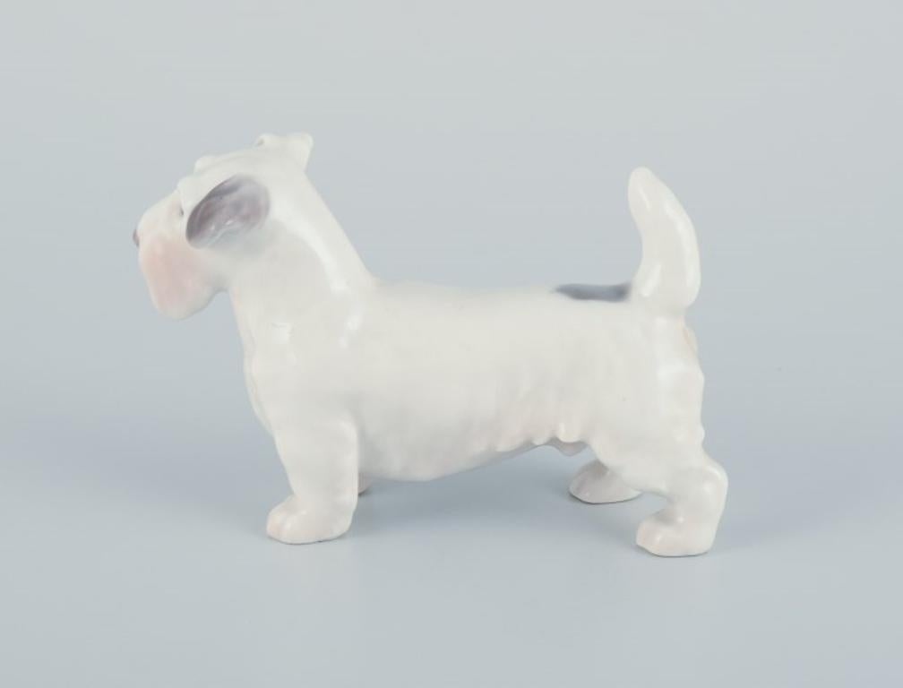 Bing & Grøndahl, petite figurine en porcelaine représentant un Terrier de Sealyham.
Modèle 2071.
Datant approximativement des années 1930.
Deuxième qualité d'usine.
Parfait état.
Marqué.
Dimensions : Hauteur 6,5 cm x Longueur 10,0 cm : Hauteur 6,5