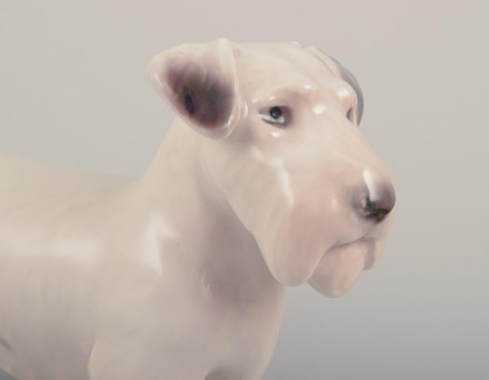 Bing & Grøndahl, small porcelain figurine of a Sealyham Terrier.
Model number 2071.
Approximately from the 1930s.
First factory quality.
Perfect condition.
Marked.
Dimensions: H 6.0 cm x L 9.0 cm.