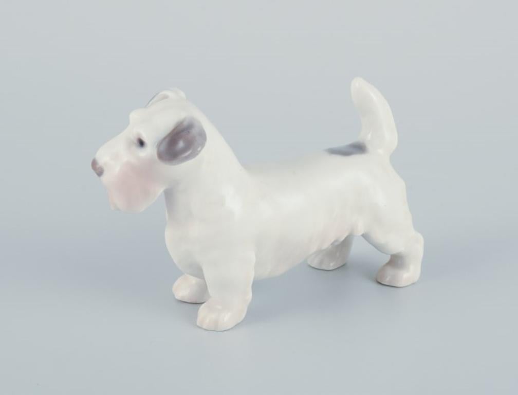 Danish Bing & Grøndahl, small porcelain figurine of a Sealyham Terrier.  For Sale