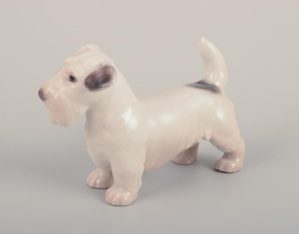 Danish Bing & Grøndahl, small porcelain figurine of a Sealyham Terrier. For Sale