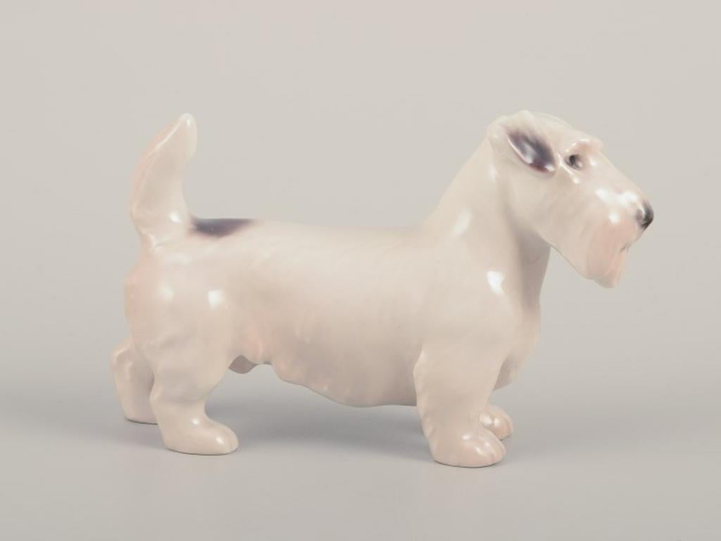 Bing & Grøndahl, small porcelain figurine of a Sealyham Terrier. In Excellent Condition For Sale In Copenhagen, DK