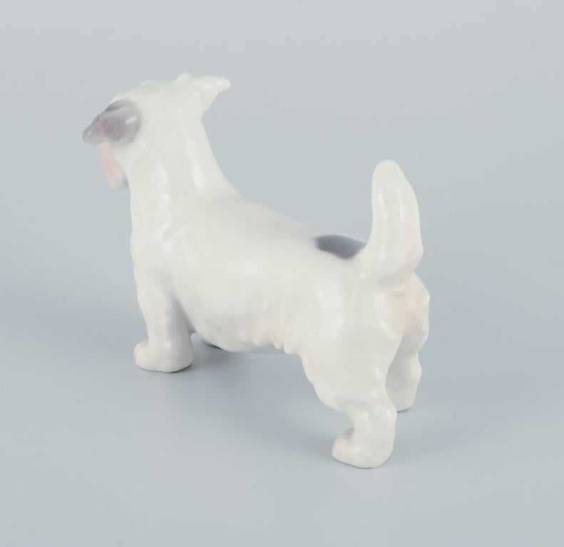 Bing & Grøndahl, kleine Porzellanfigur eines Sealyham Terriers.  (Mitte des 20. Jahrhunderts) im Angebot