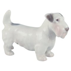 Bing & Grøndahl, small porcelain figurine of a Sealyham Terrier. 