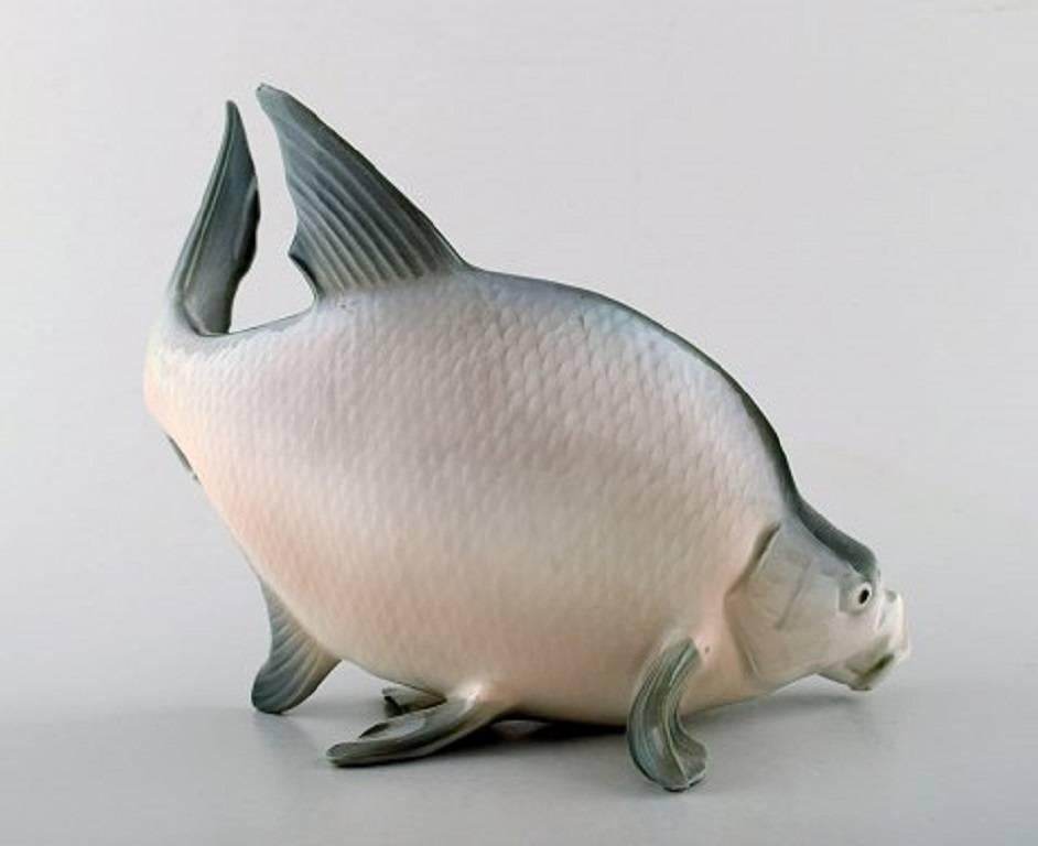 Bing & Grondahl / B & G number 1645 Carp by C. Mortensen.
Beautiful porcelain figure.
Measures: 22 cm.
In perfect condition. 1st. factory quality.