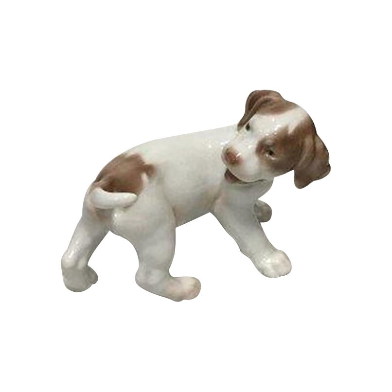 Bing 
Grondahl Figure of Pointer Puppy No 2026 For Sale