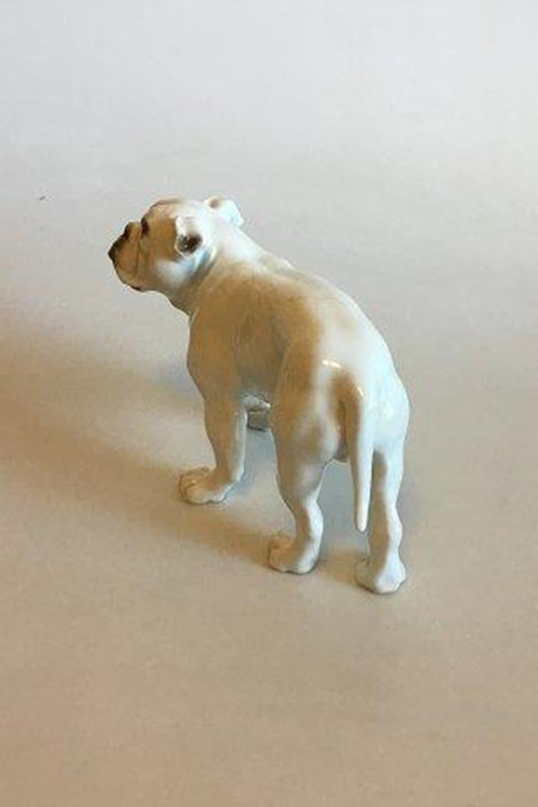 Statuetta Bing & Grondahl di bulldog n. 1605. (Numero errato di 1600). 

Misura 23 cm / 9 1/16 in. 

Creato da Dahl Jensen.