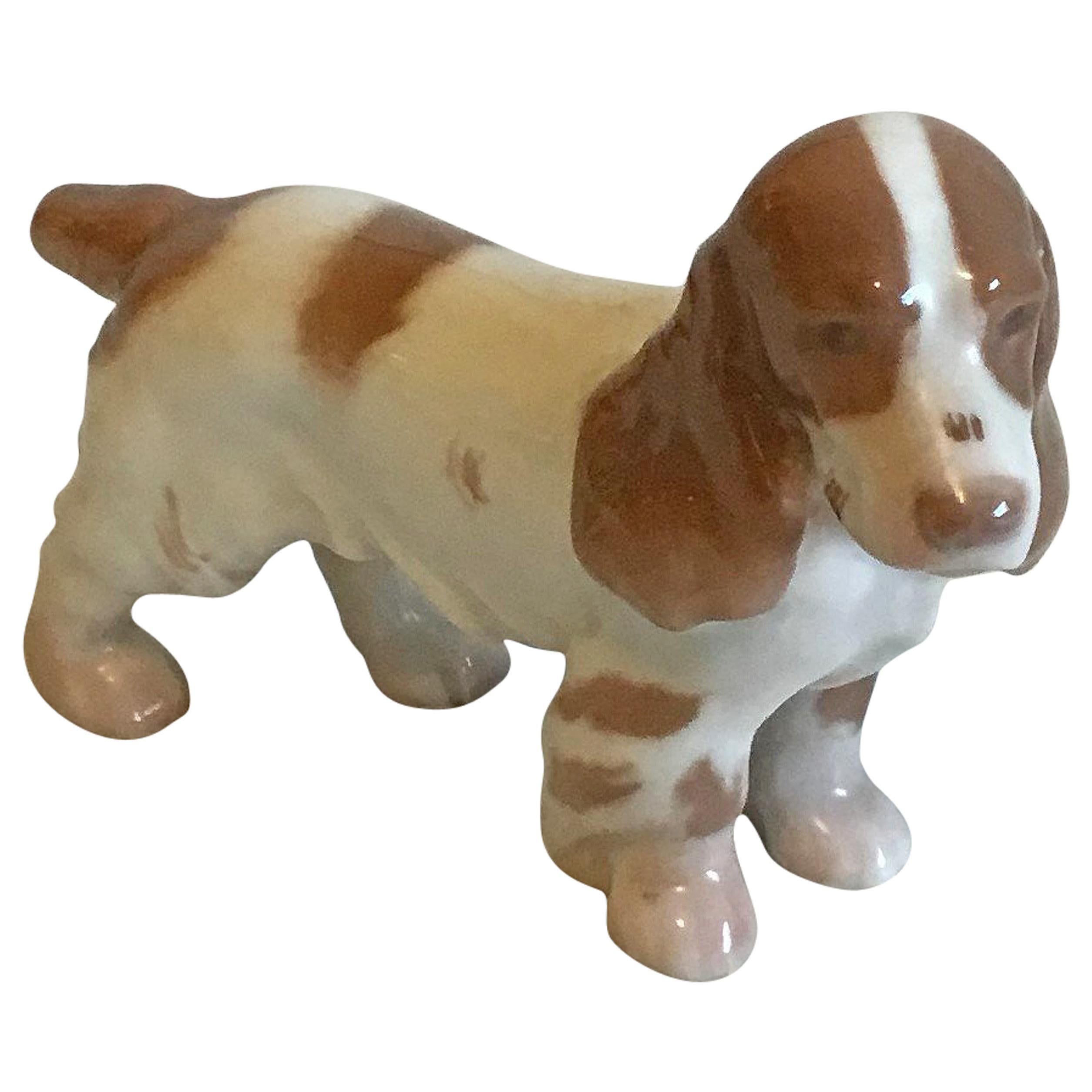Bing 
Grondahl Figurine of Cocker Spaniel No 2172 For Sale