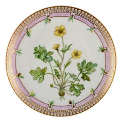 Bing & Grondahl, Hand Painted Flora Danica Dinner Plate, Dated 1977