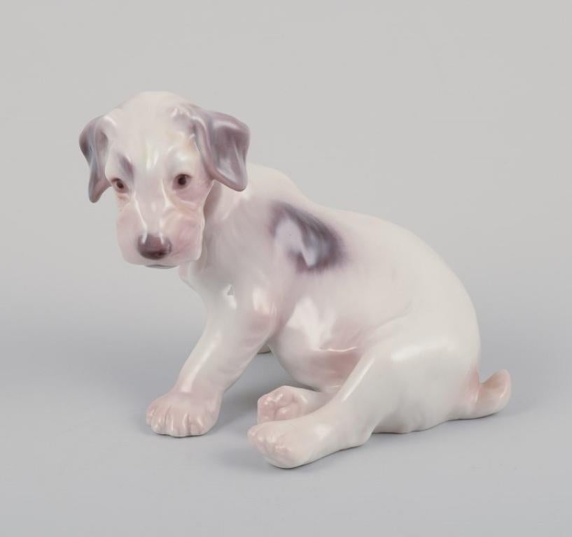 Bing et Grondahl, deux figurines en porcelaine de deux terriers
Modèle 2027 / Modèle 2072.
Années 1920/30.
Ces deux produits sont de première qualité.
Parfait état.
Marqué.
Dimensions : H 10,0 cm. x L 13,0 cm : H 10,0 cm. x L 13,0 cm.
Dimensions : H