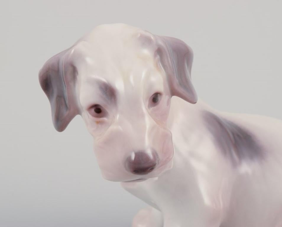 Danois Bing et Grondahl, deux figurines en porcelaine de deux terriers en vente