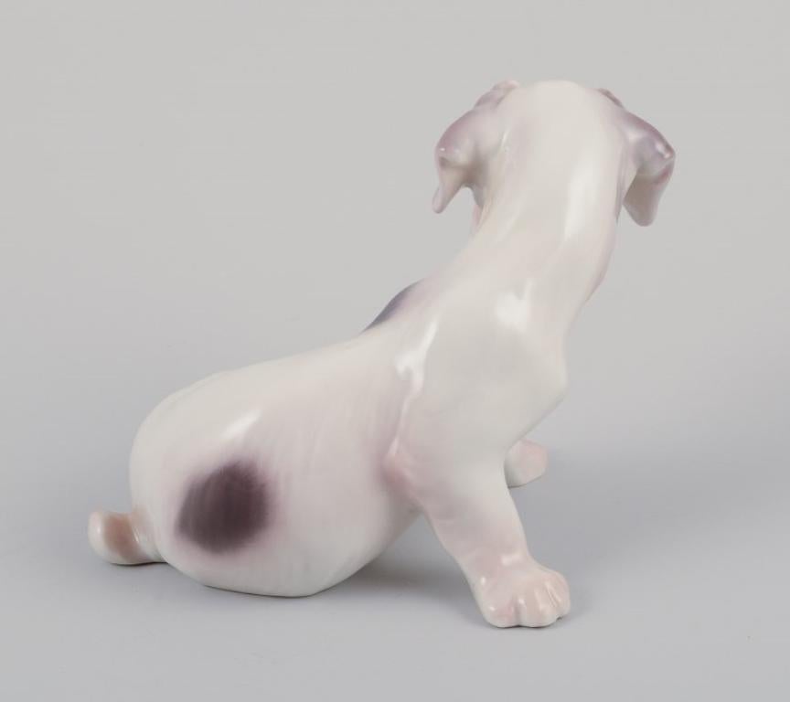 Début du 20ème siècle Bing et Grondahl, deux figurines en porcelaine de deux terriers en vente