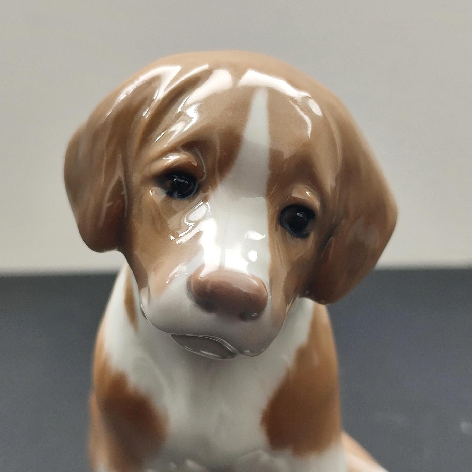 Statuetta di un cucciolo di San Bernardo di Bing & Grondahl. Progettato da: A. Nielsen.
Marchio più vecchio B&G degli anni '40, numero di modulo n.:1926 
Buone condizioni, sottile riss nello smalto sotto il fondo.

Altezza: 12 cm [4.73 in]