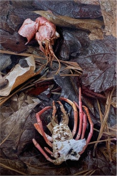 Oil Still-life Paintings