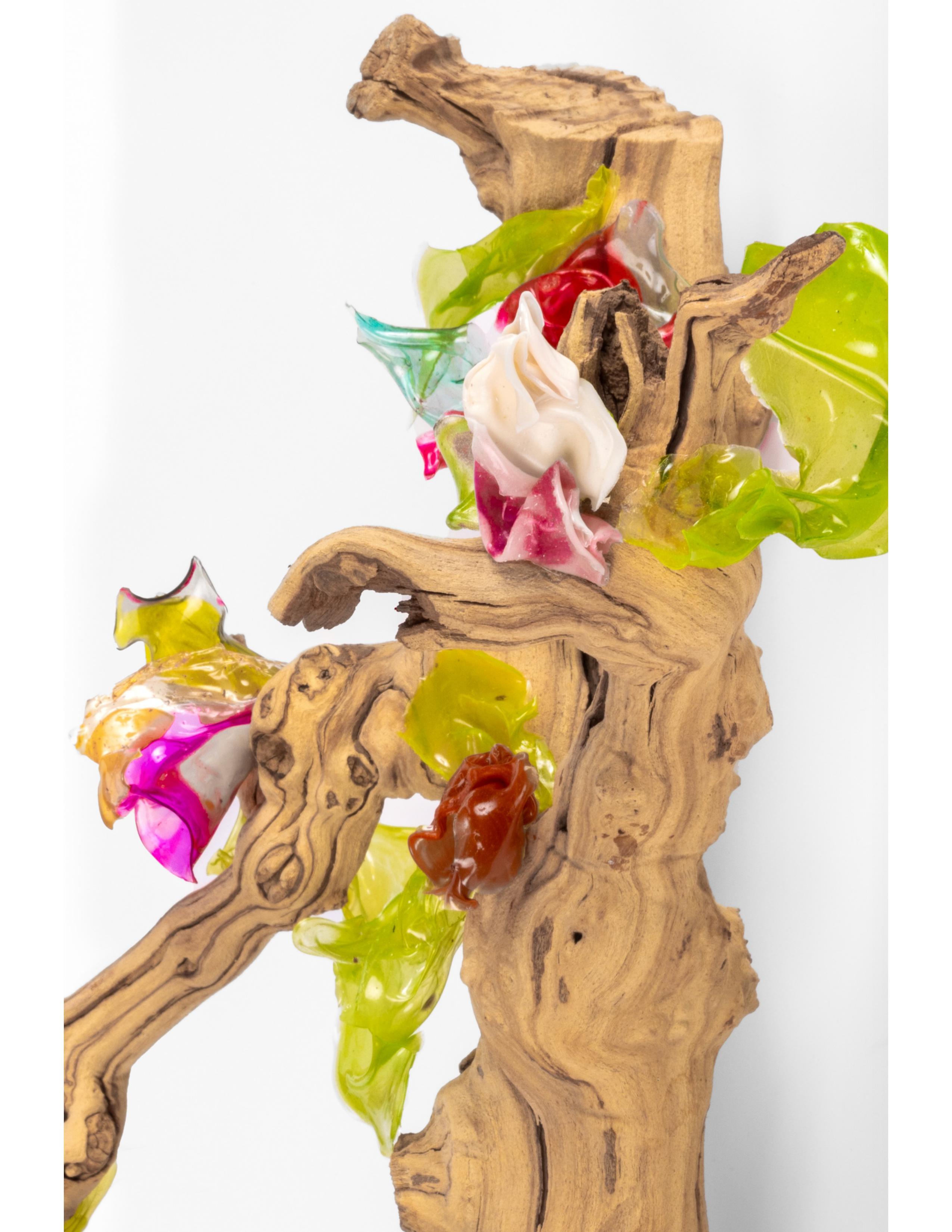 Driftwood with embellished biomaterial sculptures.