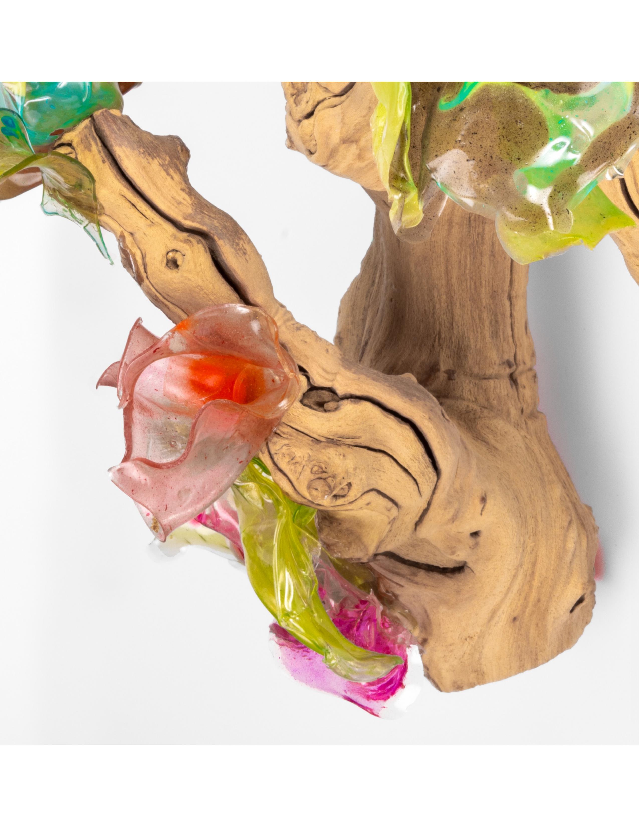 Biomaterial Future Plant auf Treibholz (amerikanisch) im Angebot