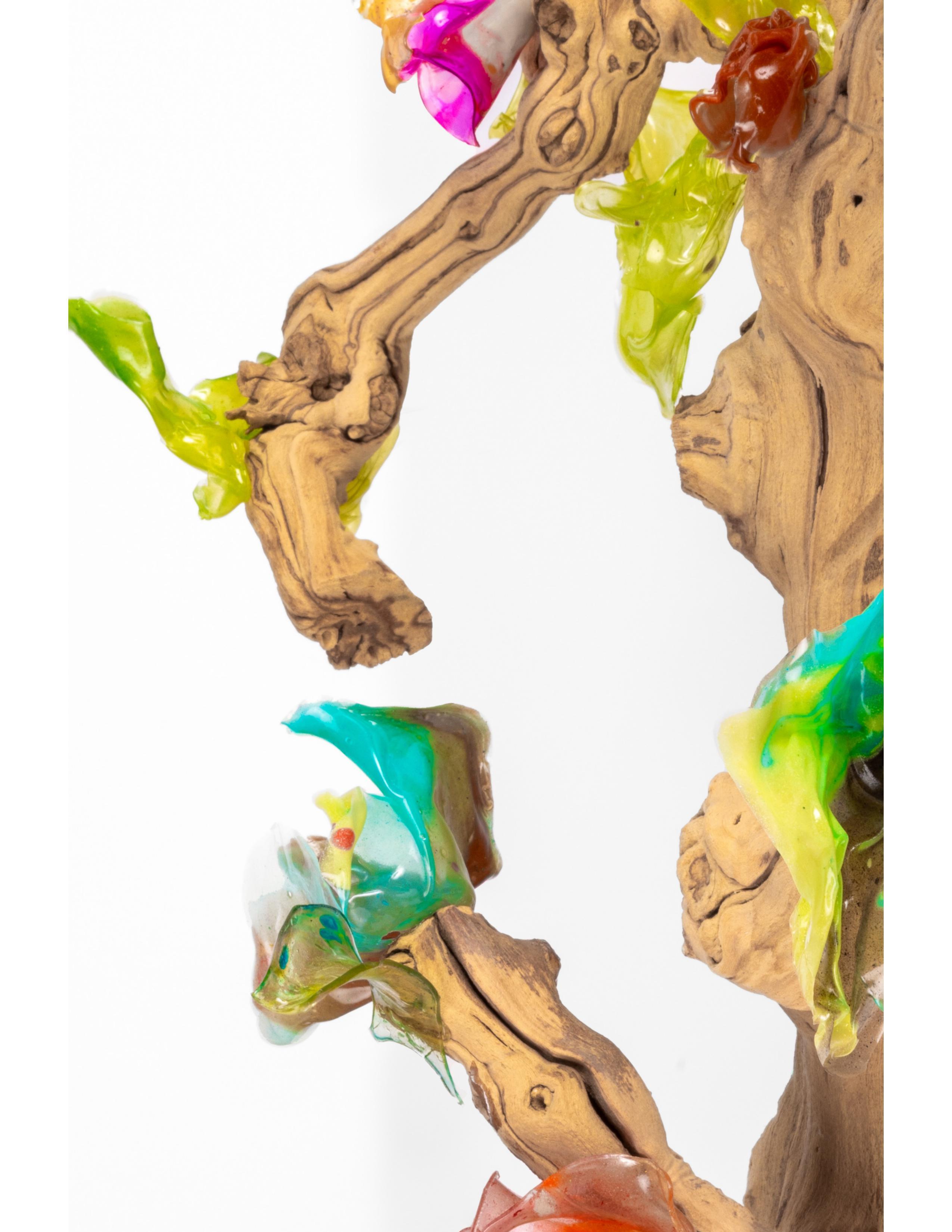 Biomaterial Future Plant auf Treibholz im Zustand „Neu“ im Angebot in Long Island City, NY