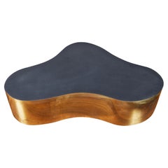 Biomorphic Brass Coffee Table In the Style of Karl Springer