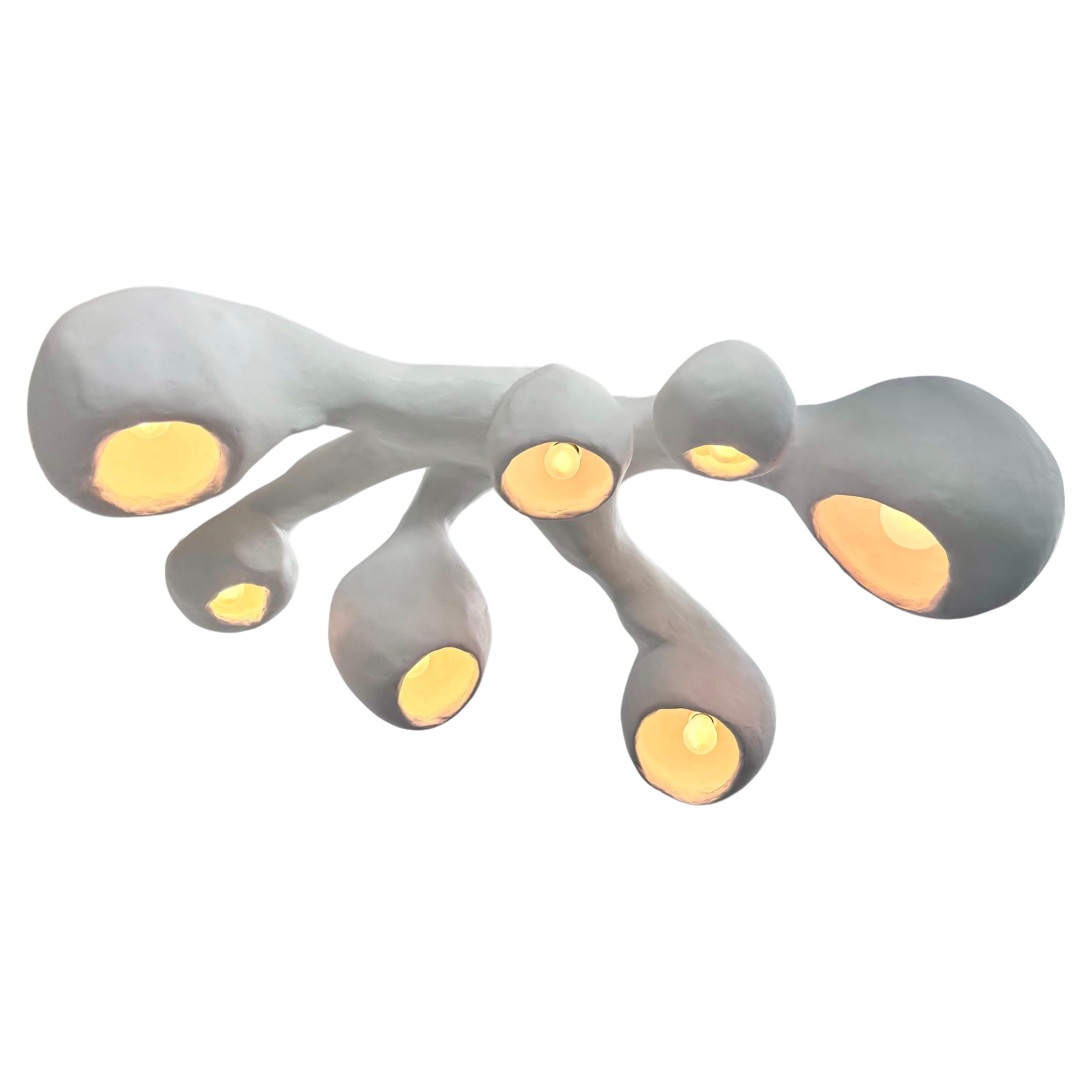 Available now.  
Custom Design by Studio Chora, Biomorphic Series, current production. 
Biomorphic: ‘bios' meaning life and 'morphe' meaning form.

One-of-a-kind light fixture; the item shown is the item that will ship. The Biomorphic series of