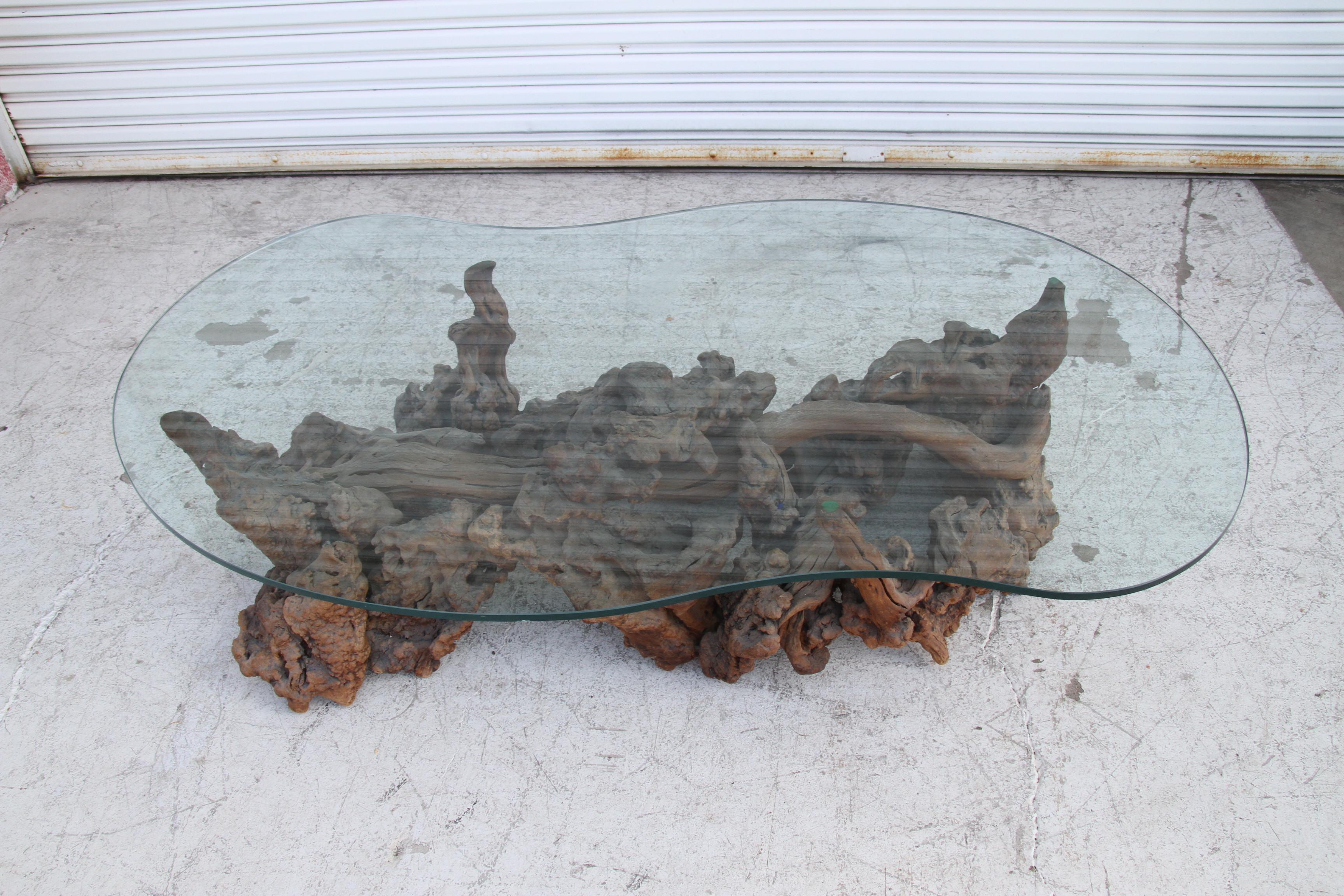Américain Table basse Biomorphic Tree Root avec plateau en verre en vente