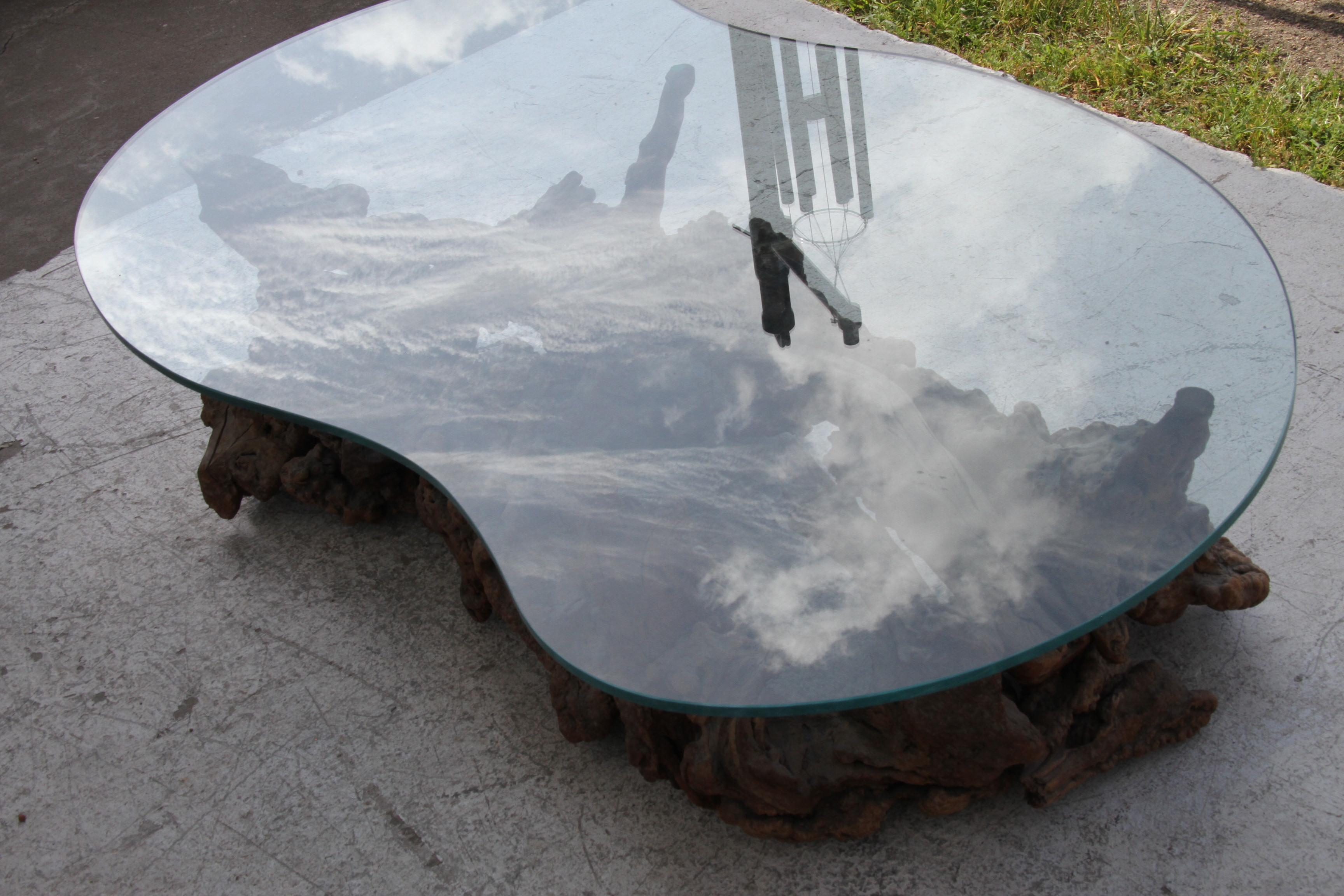 Table basse Biomorphic Tree Root avec plateau en verre Bon état - En vente à Pasadena, TX