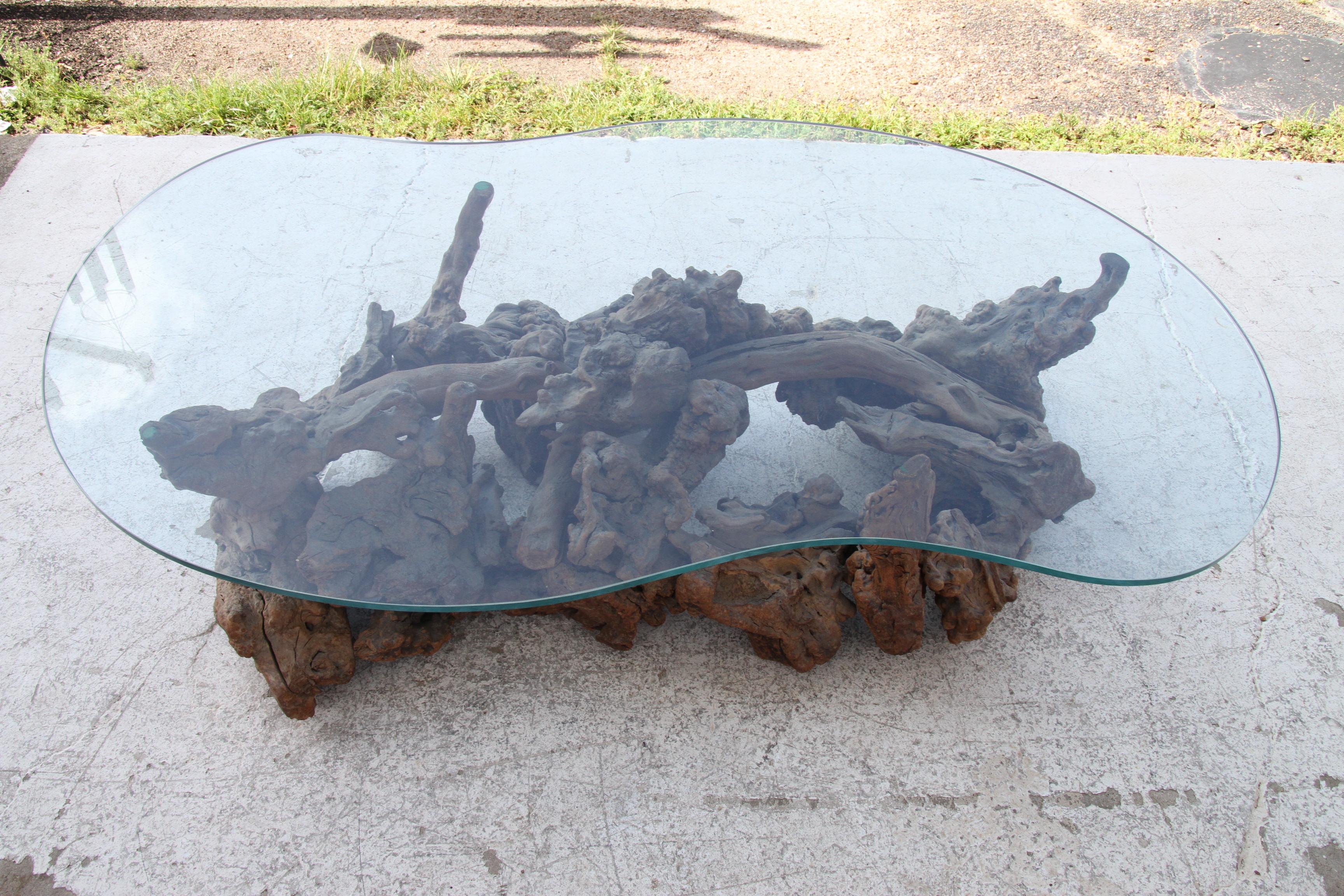 20ième siècle Table basse Biomorphic Tree Root avec plateau en verre en vente