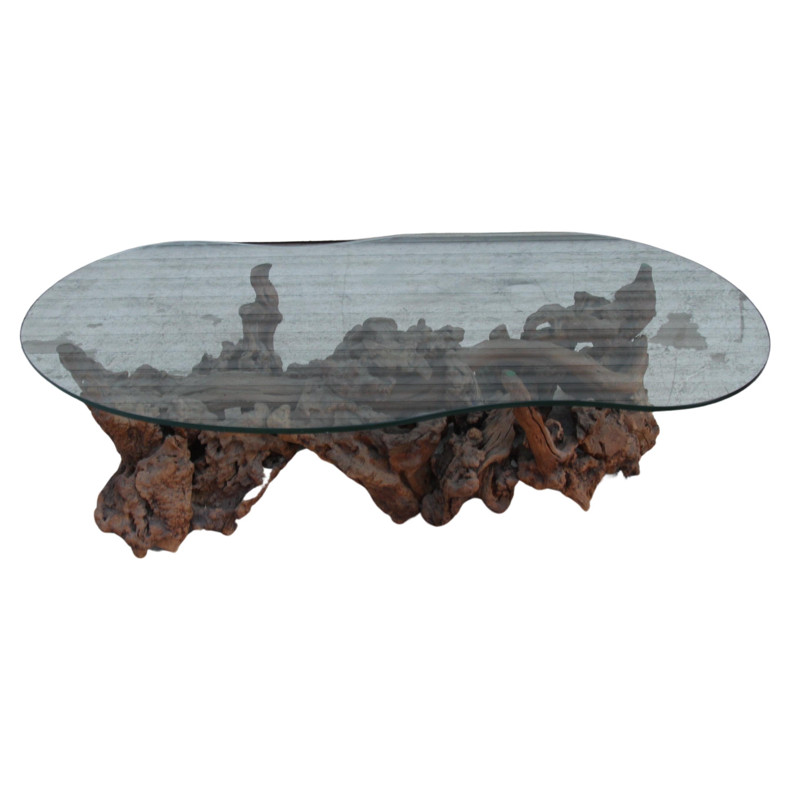 Biomorphic Tree Root Coffee Table w/ Glass Top