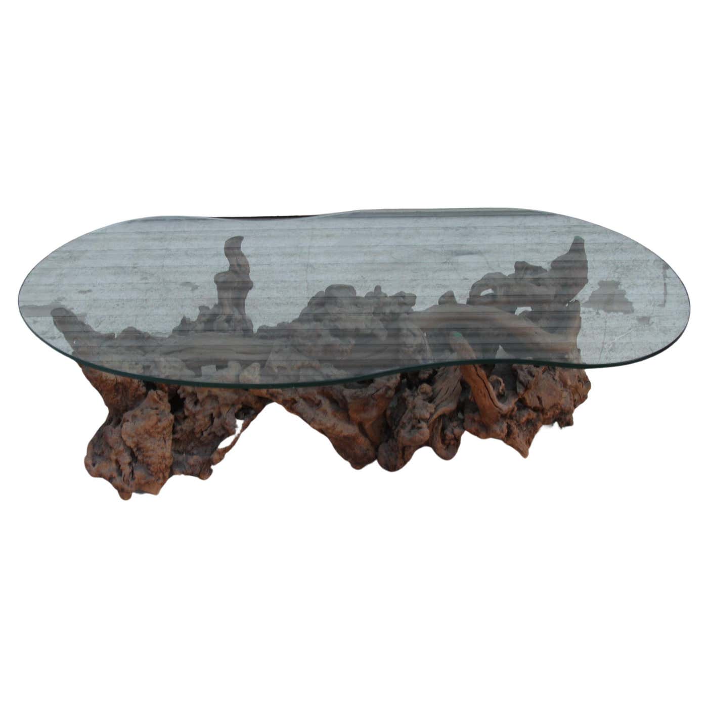 Biomorphic Tree Root Coffee Table w/ Glass Top For Sale at 1stDibs